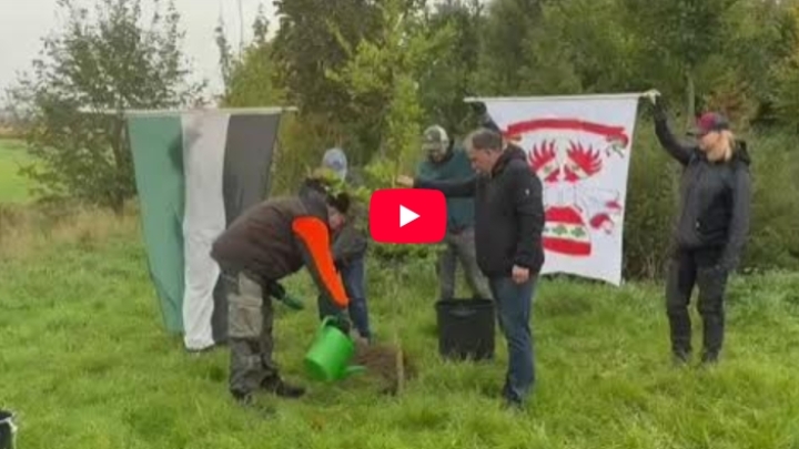 Baumpflanzchallenge in Hattrop