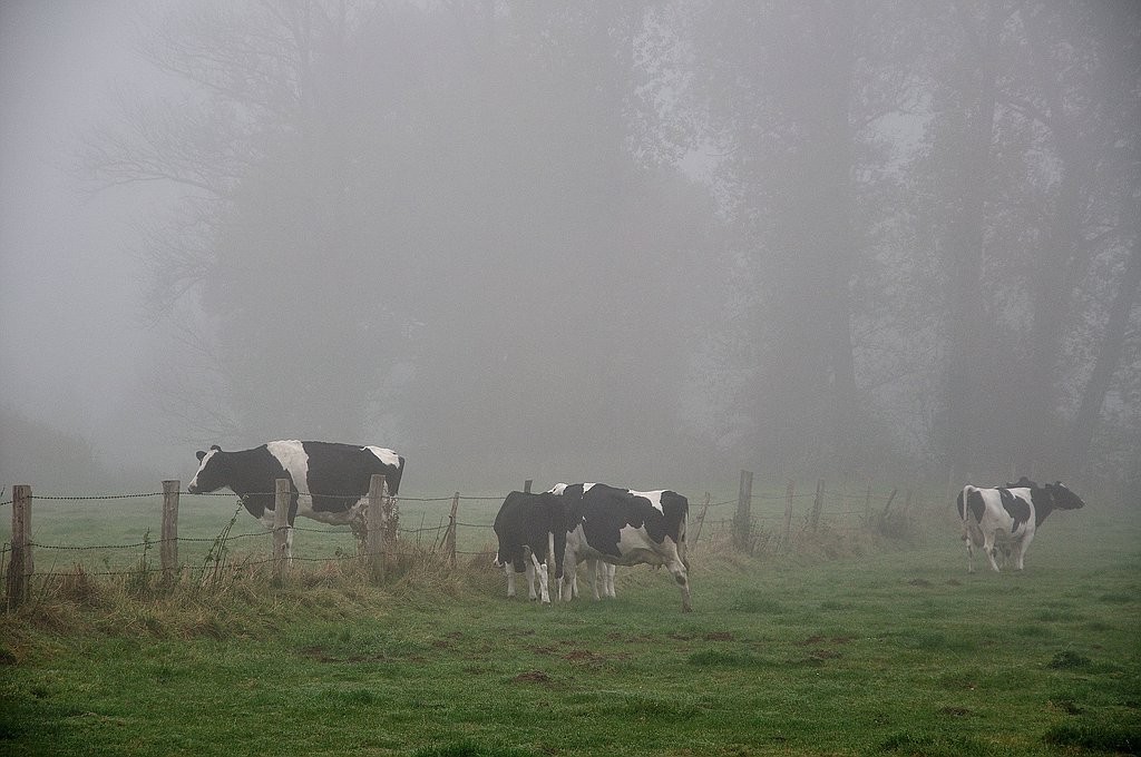 Herbst in Hattrop