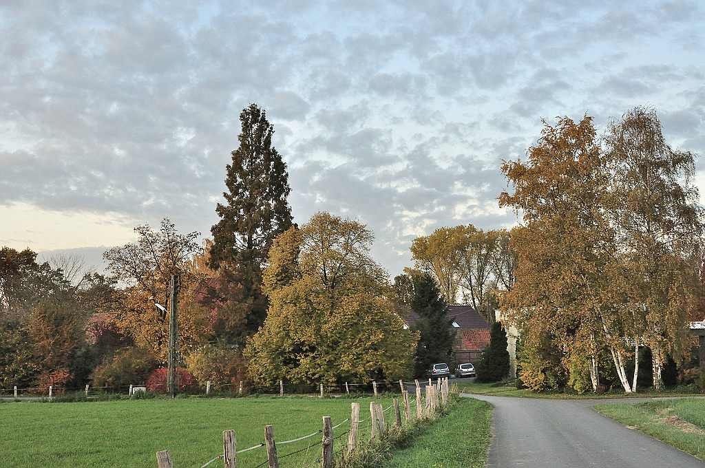 Herbst in Hattrop