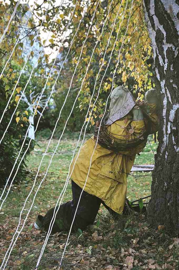 Herbst in Hattrop