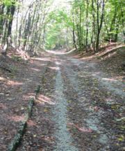 hellweg