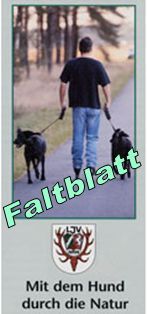 Faltblatt