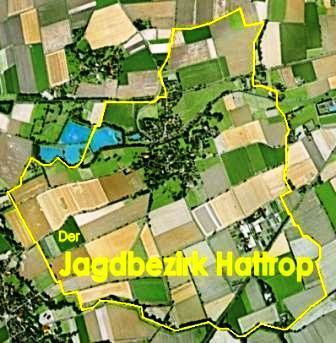 Jagdbezirk